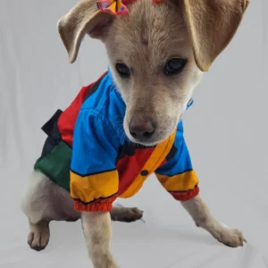 CHAQUETA PARA PERRO ZIRIO SOSTENIBLE